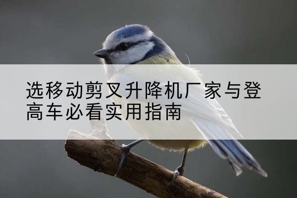 城步电动升降机厂家-选移动剪叉升降机厂家与登高车必看实用指南