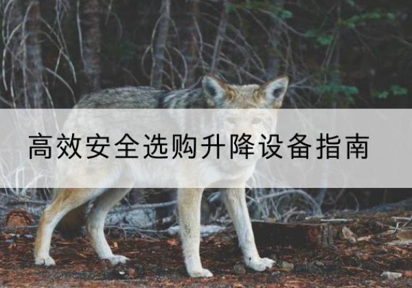 城步升降货梯厂家推荐-*安全选购升降设备指南